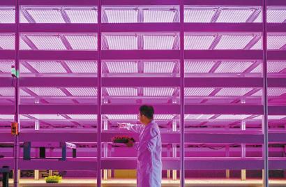 镜头定格魅力四川 生物科技赋能巴蜀新篇章