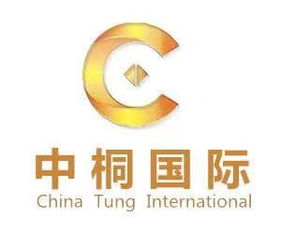 中桐北京国际企业管理咨询公司 商务咨询的智慧伙伴